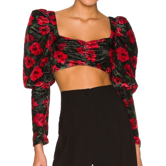 REVOLVE Tops - Lovers and Friends Jackie Cropped Top in French Rose Floral